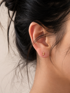 Nova Duo Stud - 14k Yellow Gold